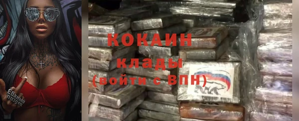 мяу мяу мука Абаза