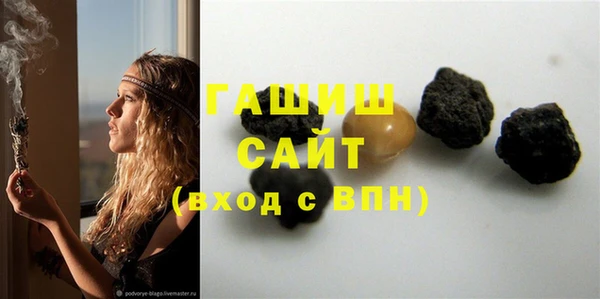 хмурый Алексин