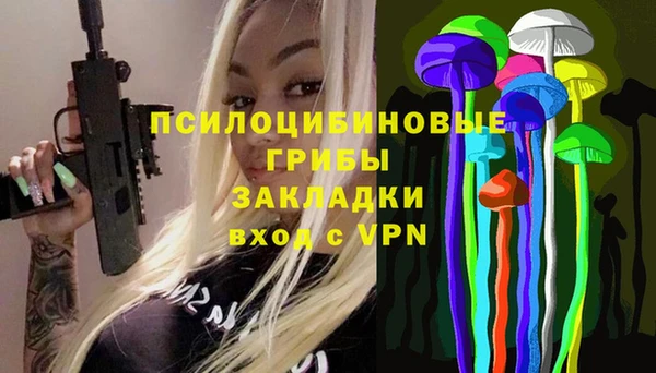 мяу мяу мука Абаза
