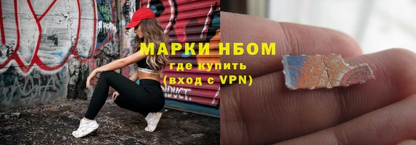 хмурый Алексин